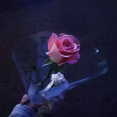 星际大战舰手游下载